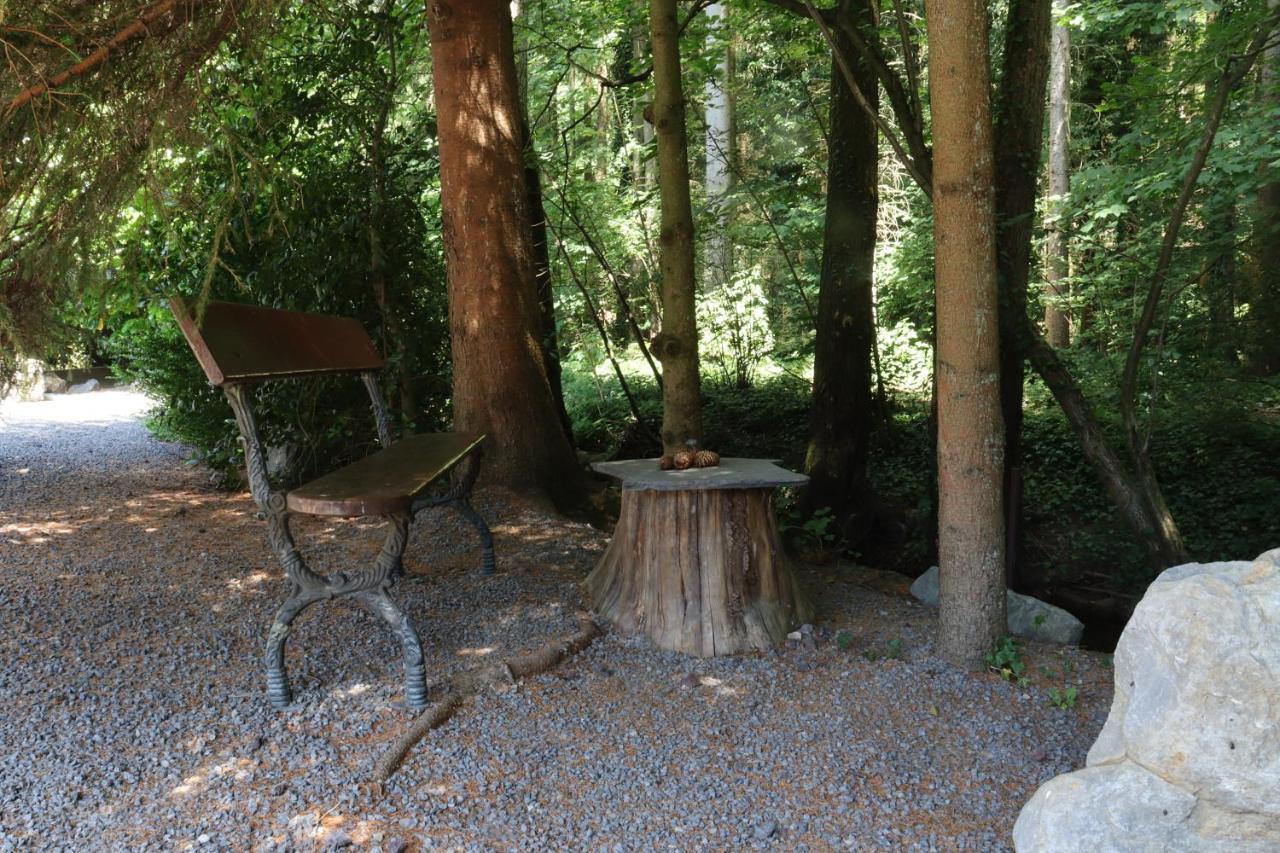 Bio-Ferienhaus-Eifel Rott  Esterno foto